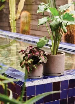 Hay Plant Pot With Saucer -Hay Outlet Store W HAY 2516302 100144986 grey v2 001