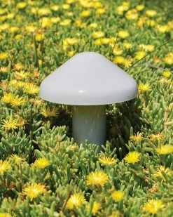 Hay Outlet Store -Hay Outlet Store W HAY 2537216 100274469 grey v3 001